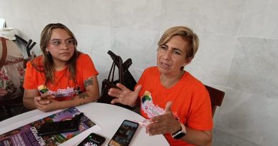 *Para apoyar a perros y gatos en situación de calle
